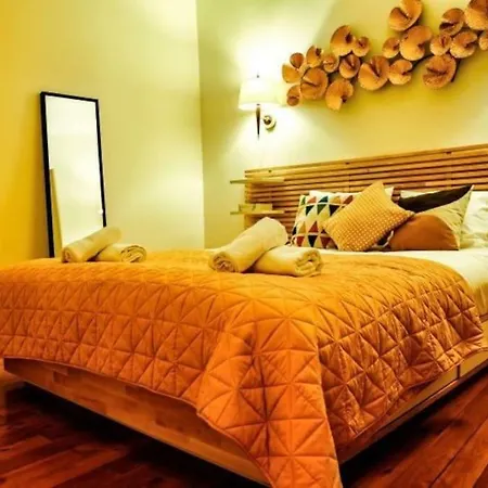 Duplex With Riverview In Historic Centre *